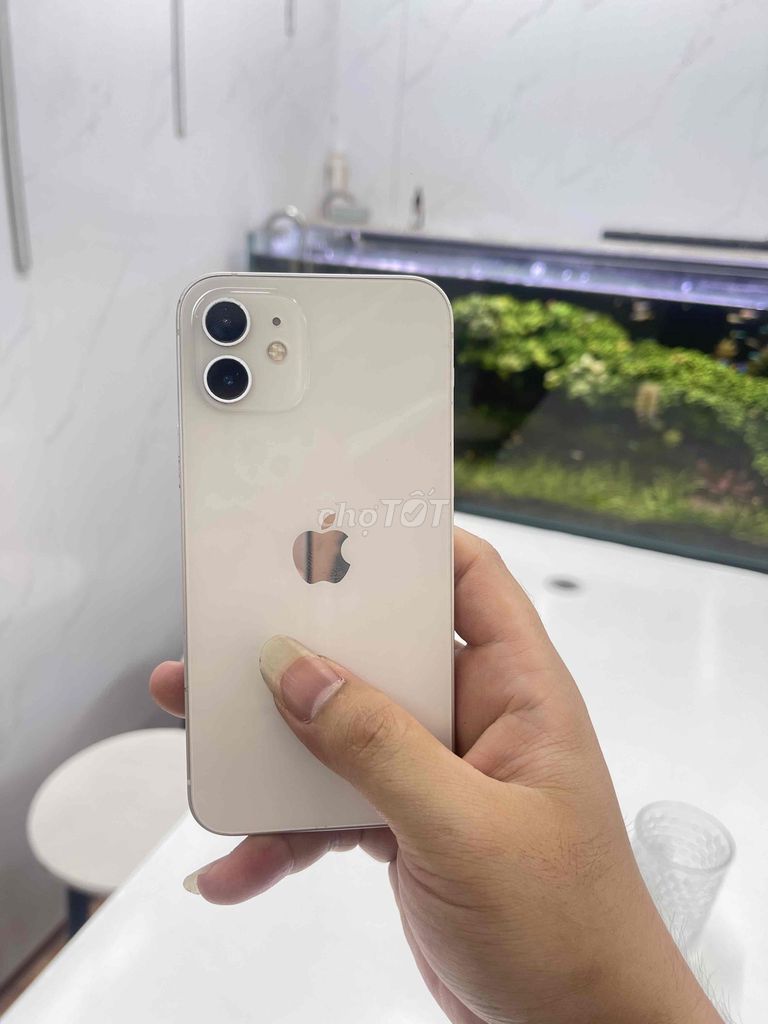 Apple iPhone 12 64GB Trắng. Mua bán Điện thoại tại Quận Đống Đa Hà Nội được đăng bởi  Tuấn Apple  hình 1