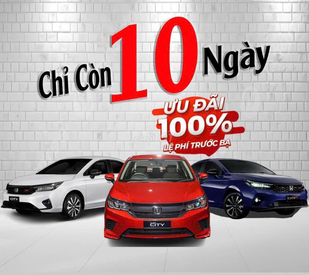 Ảnh số 8