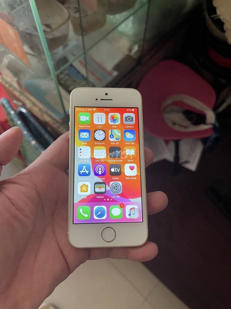 Apple iPhone 5SE 64GB Vàng Đã sử dụng. Mua bán Điện thoại tại Quận 11 Tp Hồ Chí Minh được đăng bởi phong hình 1