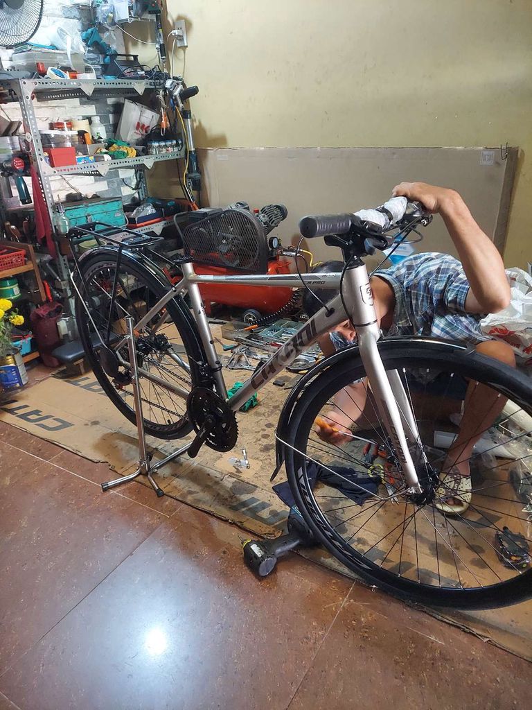 XE CHÍNH HÃNG CATANI PRO MỚI 100% CHỢ 586. Mua bán Xe đạp tại Quận Cái Răng Cần Thơ được đăng bởi Nguyễn Nhung hình 2