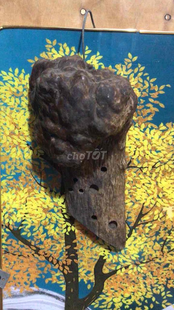 Tượng gỗ 25x15cm. Mua bán Đồ sưu tầm, đồ cổ tại Quận Gò Vấp Tp Hồ Chí Minh được đăng bởi Phùng Cường hình 1