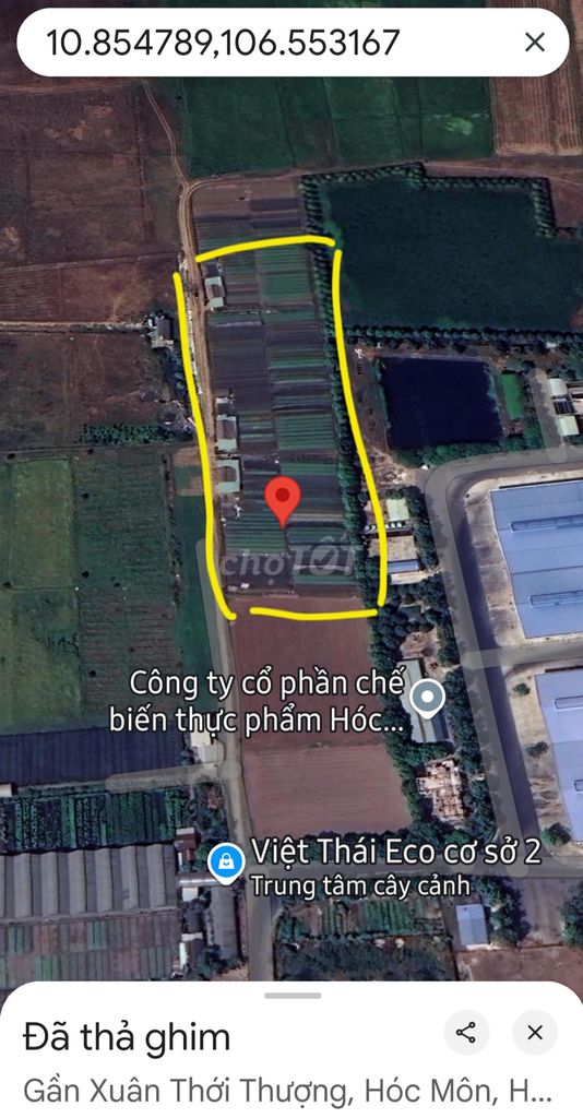 Giảm 40 còn 35 tỷ. Bán 1,6ha đất công nghiệp đường ô tô Hóc Môn