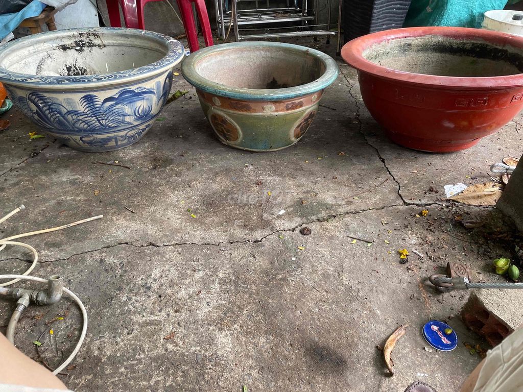 Chậu cây cảnh Gốm sứ. Mua bán Cây cảnh, đồ trang trí tại Quận Bình Thạnh Tp Hồ Chí Minh được đăng bởi NGUYỄN VĂN HÀO hình 1