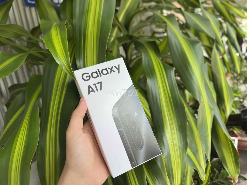 Samsung Galaxy A17 8GB/128GBPin5000 Máy new. Mua bán Điện thoại tại Quận Ninh Kiều Cần Thơ được đăng bởi ĐIỆN THOẠI GIÁ TỐT UY TÍN  hình 1