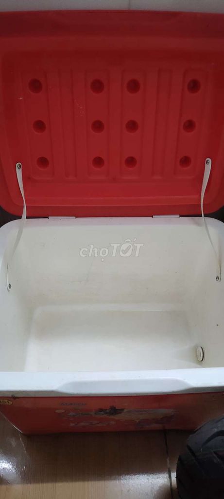 Thùng đá 35L Nhựa màu Đỏ. Mua bán Nội thất, đồ gia dụng khác tại Quận Tân Phú Tp Hồ Chí Minh được đăng bởi Phạm Thị Phú Túc hình 1