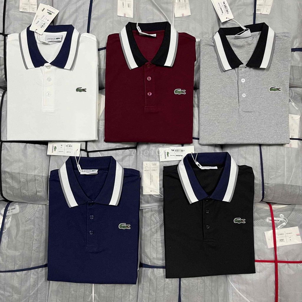 Polo Lacoste Về Bản New Season. Mua bán Quần áo tại Huyện Gia Bình Bắc Ninh được đăng bởi ptrantvp hình 1