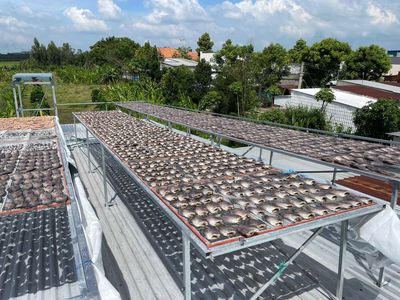 Khô Cá Sặc Bổi. Mua bán Đồ ăn, thực phẩm và các loại khác tại Quận Bình Thạnh Tp Hồ Chí Minh được đăng bởi Ngọc