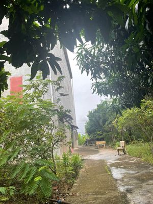 CẦN BÁN 1900M2 ĐẤT XÃ LÝ NHƠN, CẦN GIỜ, 300M2 THỔ CƯ + NHÀ YẾN 5*20*4. Mua bán đất tại Huyện Cần Giờ Tp Hồ Chí Minh được đăng bởi Tran Huyen