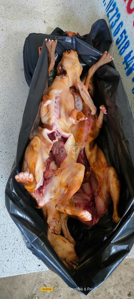 Bán thỏ thịt tươi, thỏ nướng sỉ lẻ Q.8, TP HCM