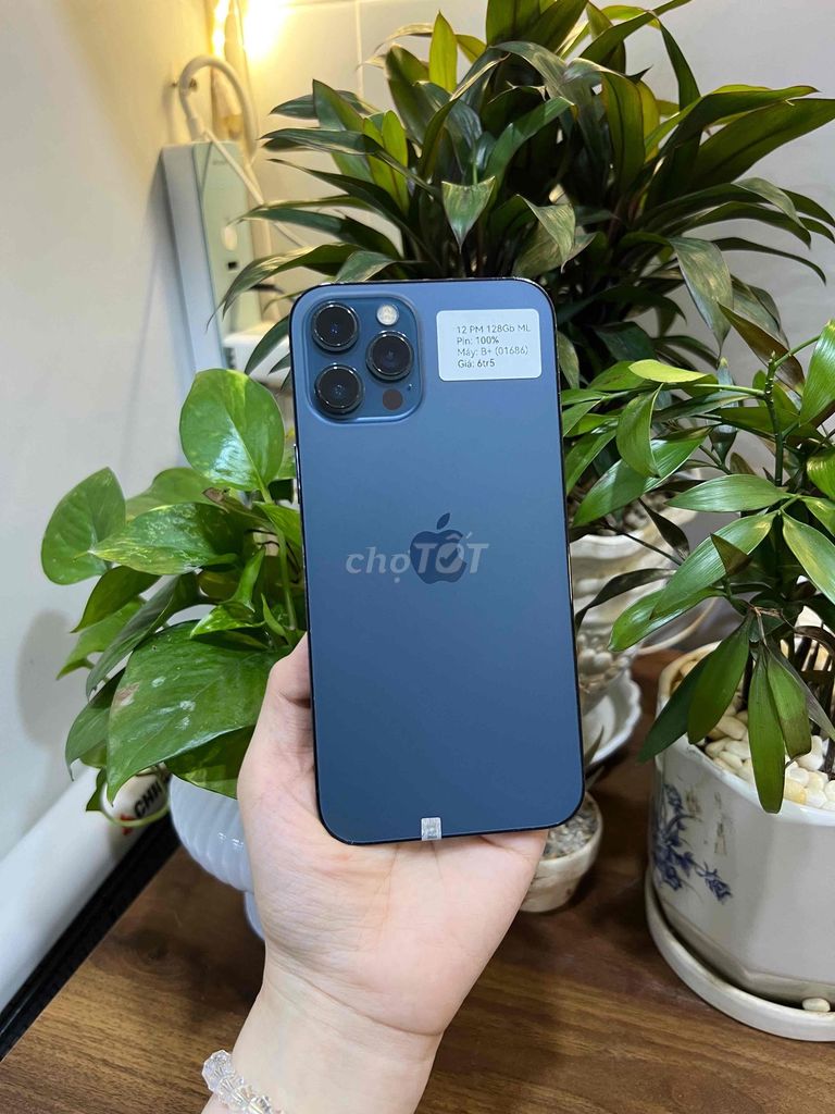 iPhone 12 Pro Max 128GB Xanh Màn Lô Pin New. Mua bán Điện thoại tại Huyện Hóc Môn Tp Hồ Chí Minh được đăng bởi SIRI STORE HCM hình 1
