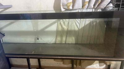 hồ cá kính cường lực 10ly. Mua bán Phụ kiện, Thức ăn, Dịch vụ tại Quận Thanh Khê Đà Nẵng được đăng bởi Vu Le