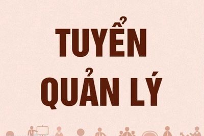 Tuyển 2 Nam Quản lý chuỗi Căn Hộ dịch vụ cho thuê. Việc làm tại Quận Tân Phú Tp Hồ Chí Minh được đăng bởi CÔNG TY TNHH TMDV & ĐẦU TƯ LONG THỊNH hình 1