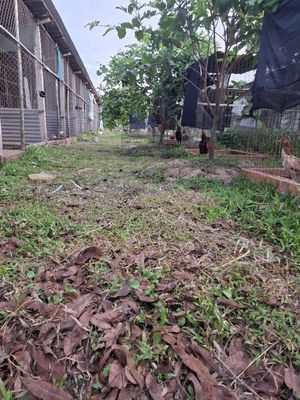 nhà ở và đất thích hợp nghĩ dưỡng