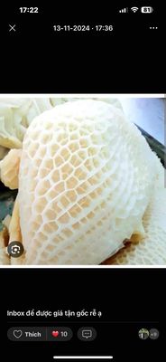 Thịt bò dạ dày nguyên miếng. Mua bán Đồ ăn, thực phẩm và các loại khác tại Thành phố Dĩ An Bình Dương được đăng bởi Tảng Đá Lớn