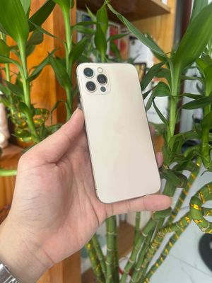 Apple iPhone 12 Pro 256GB Vàng Đã sử dụng