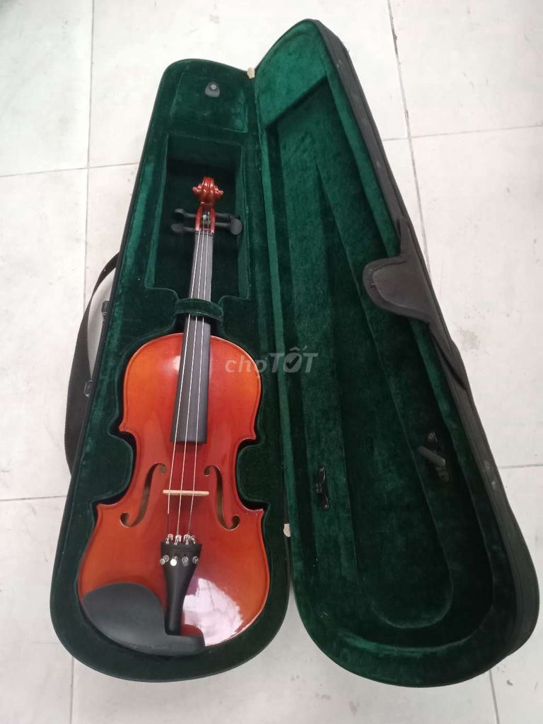 Đàn Violin Gỗ Nâu đỏ. Mua bán Nhạc cụ tại Quận Bình Thạnh Tp Hồ Chí Minh được đăng bởi Trọng Tín Nguyễn Huỳnh hình 1