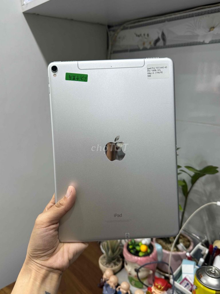 iPad Pro 10.5inch 64G Bản 4G Trắng P100 S2L Đẹp 99. Mua bán Máy tính bảng tại Huyện Hóc Môn Tp Hồ Chí Minh được đăng bởi Thu hình 1