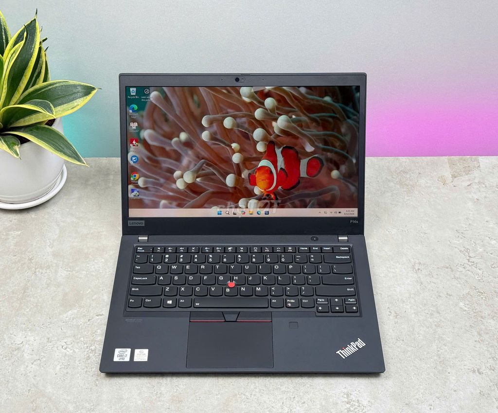 LAPTOP LENOVO P14S I7 10610U/16G/512G/P520 2G/14IN. Mua bán Laptop tại Quận Bình Thạnh Tp Hồ Chí Minh được đăng bởi Z COMPUTER CHI NHÁNH BÌNH THẠNH hình 1