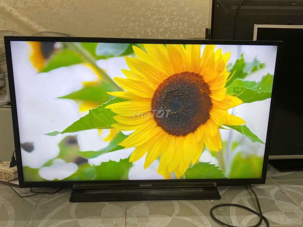 Tivi Sony 40 inch không mạng