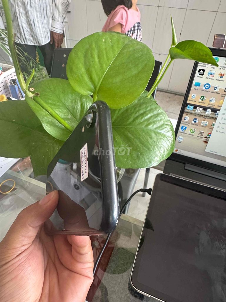 iPhone XR 128GB QT ZIN Full CN. Mua bán Điện thoại tại Quận Ninh Kiều Cần Thơ được đăng bởi phan Nhân  hình 1