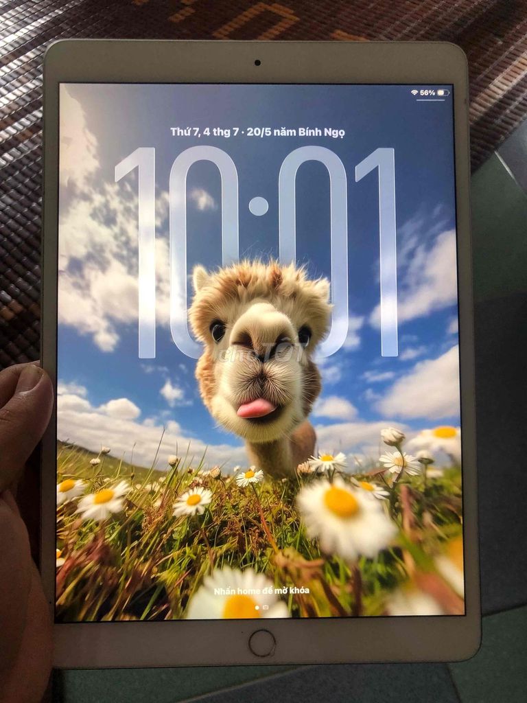 Apple iPad Air 3 64GB Xám. Mua bán Máy tính bảng tại Huyện Vũ Thư Thái Bình được đăng bởi Nguyễn Công Phú hình 1