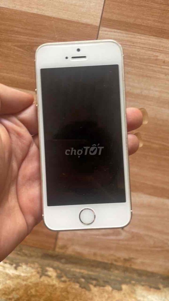 Apple iPhone 5S 16GB Vàng. Mua bán Điện thoại tại Huyện Ia Grai Gia Lai được đăng bởi Minh khang  hình 1