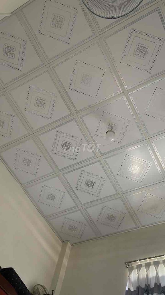 tìm gà nọc lai lớn kí. Mua bán Gà tại Huyện Thoại Sơn An Giang được đăng bởi Hữu Thọ hình 1