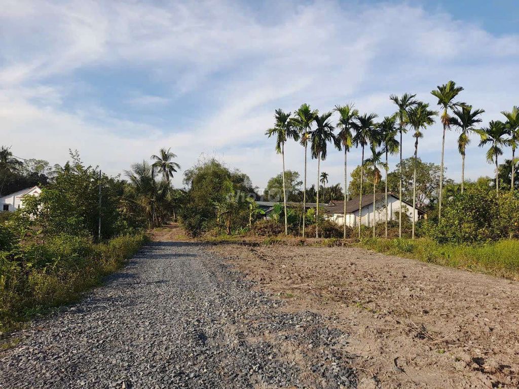 Hàng ngộp, 500m2 đất vườn view kênh đường ô tô chỉ 460tr. Mua bán đất tại Huyện Bến Lức Long An được đăng bởi Hùng Lê hình 4