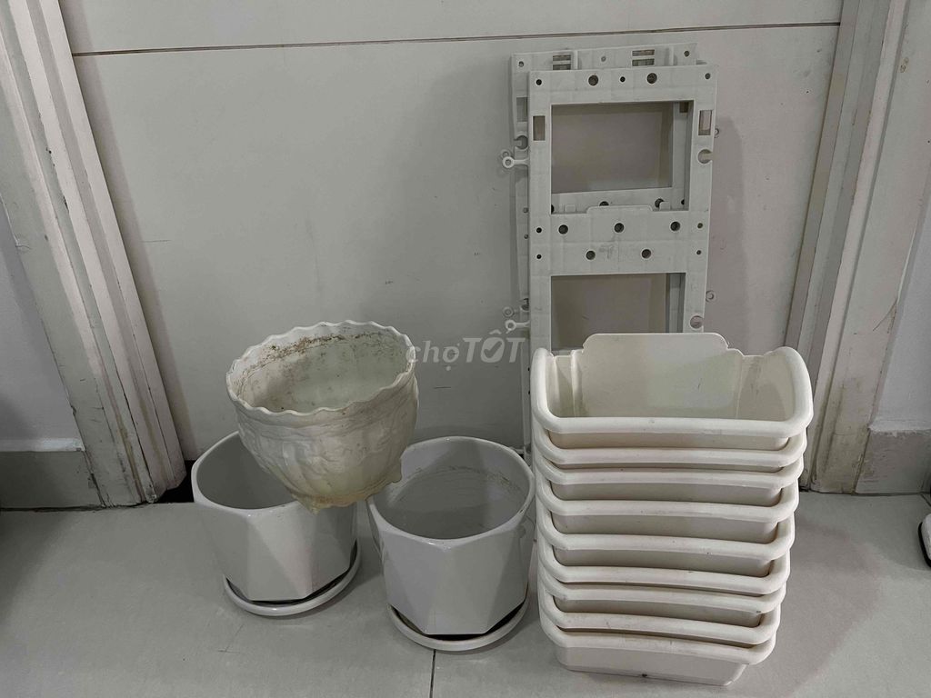 Chậu cây nhựa trắng phong cách đơn giản. Mua bán Cây cảnh, đồ trang trí tại Quận 12 Tp Hồ Chí Minh được đăng bởi Dâu hình 1