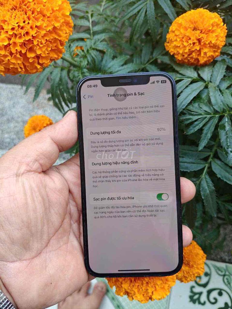 iPhone 12 thường máy đẹp rin fun pin 92%