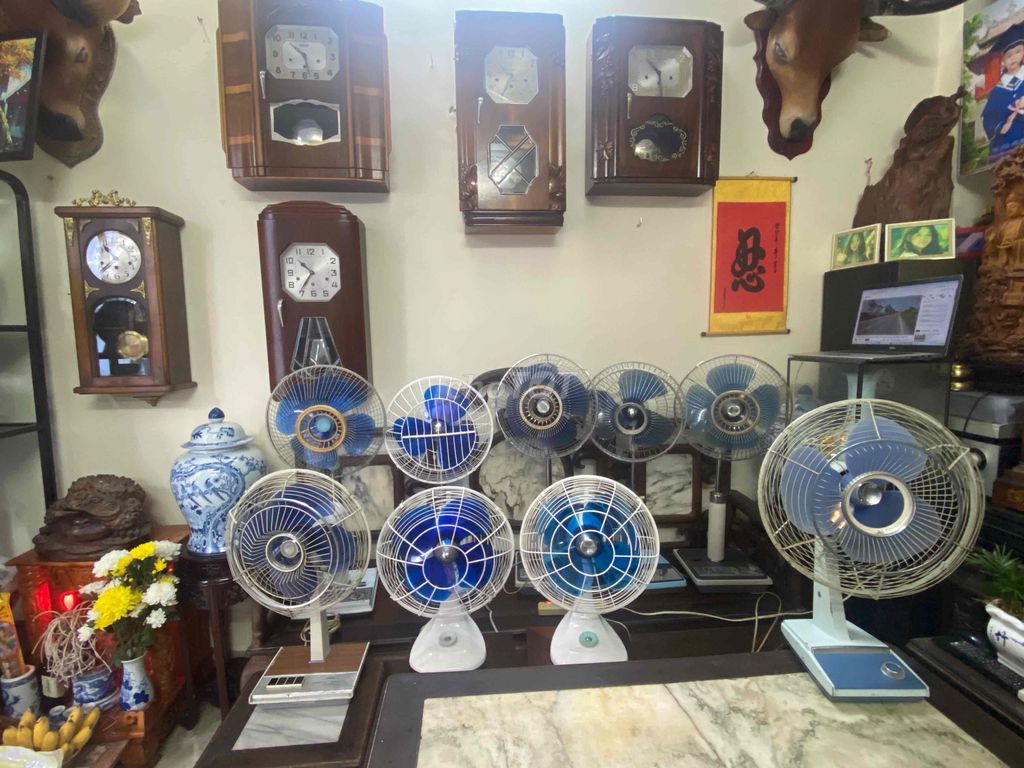 Quạt điện Nhật Bản Xanh Trắng. Mua bán Quạt tại Thành phố Nam Định Nam Định được đăng bởi Tran Thang hình 1