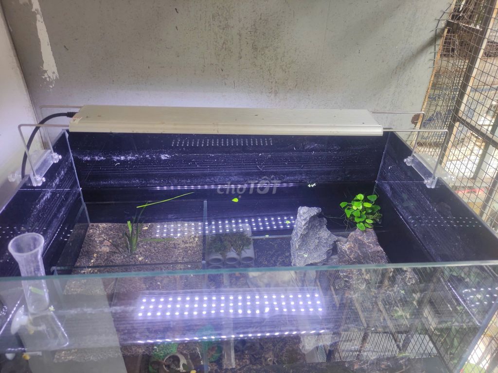 Phụ kiện bể thủy sinh. Mua bán Phụ kiện, Thức ăn, Dịch vụ tại Quận Hai Bà Trưng Hà Nội được đăng bởi Sơn Vũ hình 1