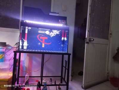 Thanh lý hồ 70x40x40. Mua bán Thú cưng khác tại Huyện Đức Hòa Long An được đăng bởi Hoai