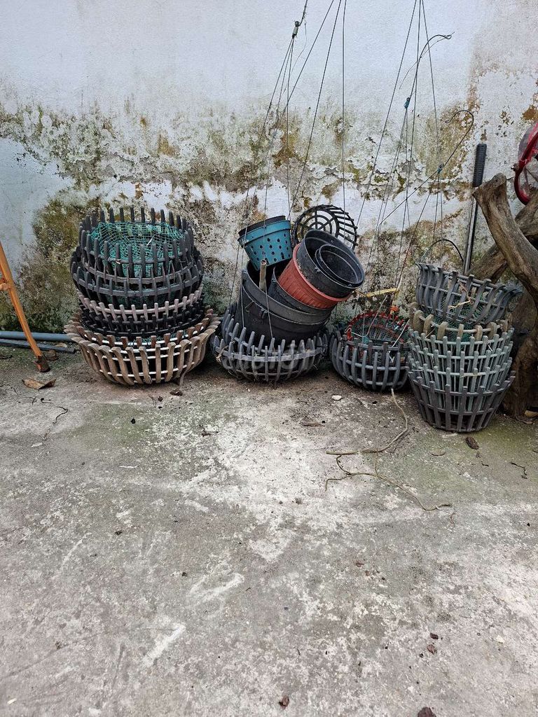 Chậu trồng cây nhựa nhiều màu. Mua bán Cây cảnh, đồ trang trí tại Thành phố Mỹ Tho Tiền Giang được đăng bởi Hung Pham hình 1