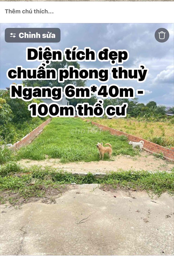 Bán đất Đường 29- Thôn Tân Lễ - Châu Pha - Ngay uỷ ban Châu Pha