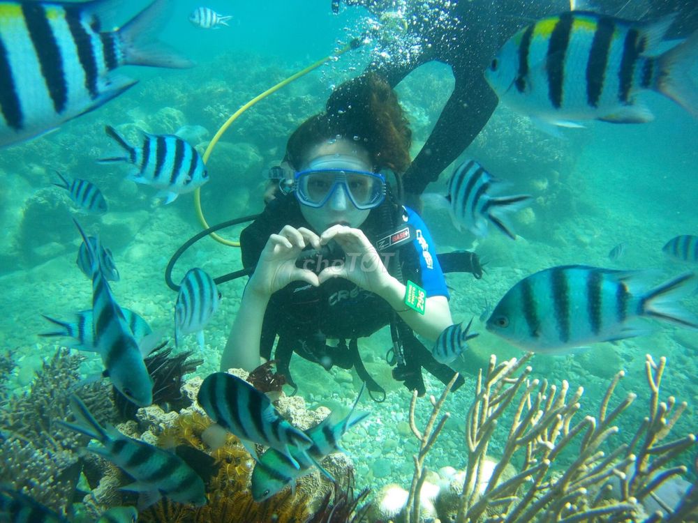 Tour 3 Đảo Nha Trang 1 Ngày
