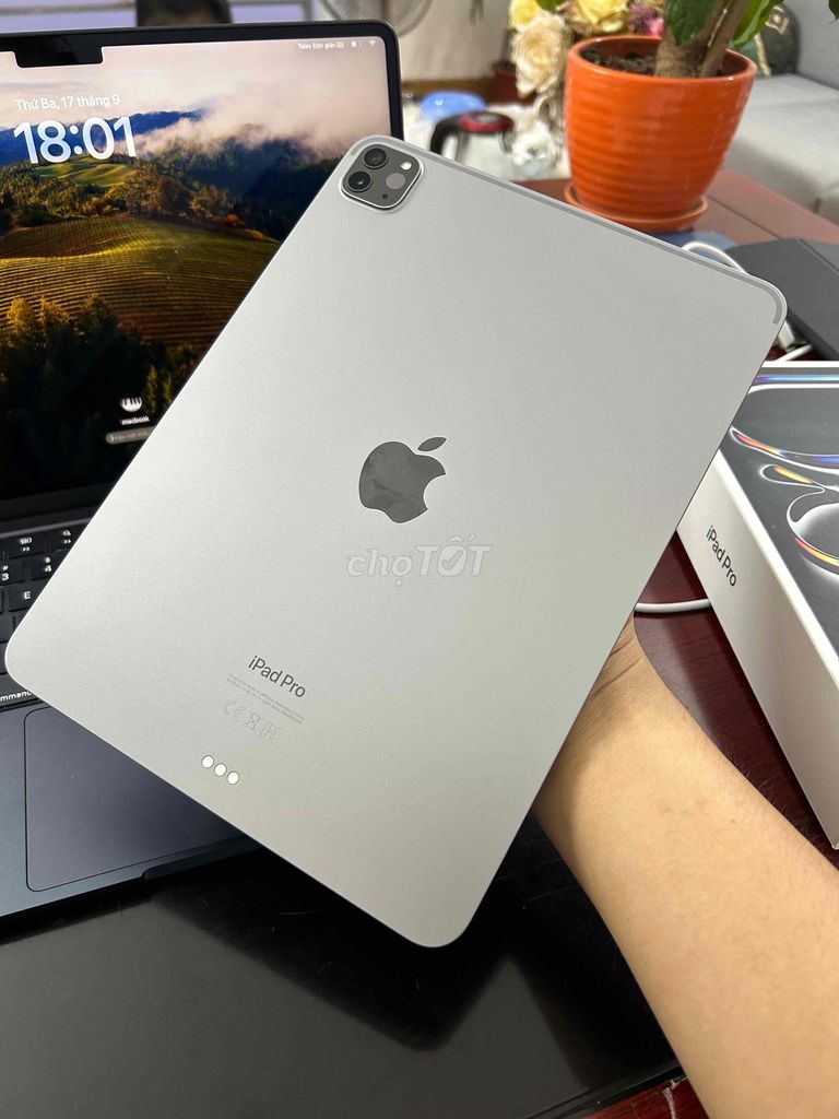 iPad Pro 11in M2 bản 1TB (1000G) .Pin 100% likenew