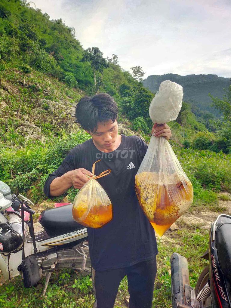 em cần bán hộ bạn em mật ong rừng nguyên chất130kg. Mua bán Đồ ăn, thực phẩm và các loại khác tại Quận Nam Từ Liêm Hà Nội được đăng bởi Thứ Lucky hình 1