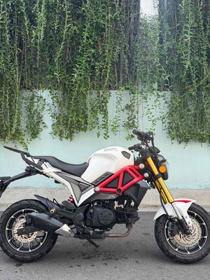 Ducati Mini 2