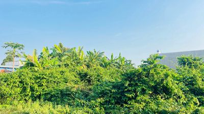BÁN ĐẤT HÒA LONG THÀNH PHỐ BÀ RỊA VŨNG TÀU