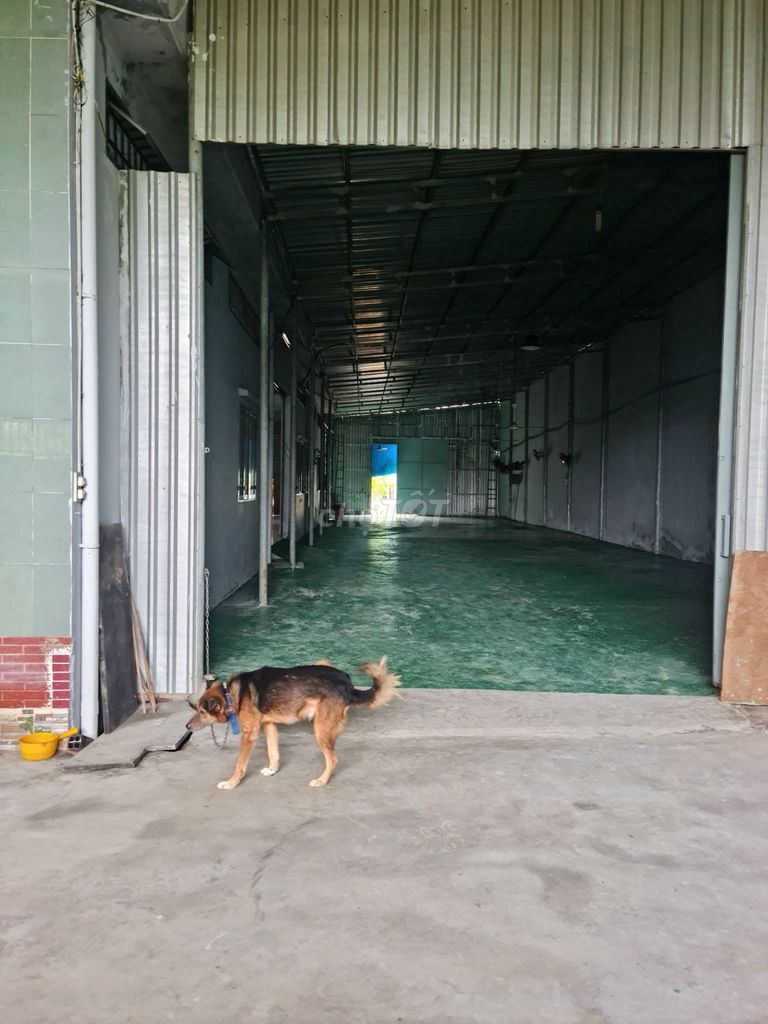 Bán Gấp Nhà Xưởng Đa Công Năng, Tân Phú Trung - Củ Chi - TP.HCM