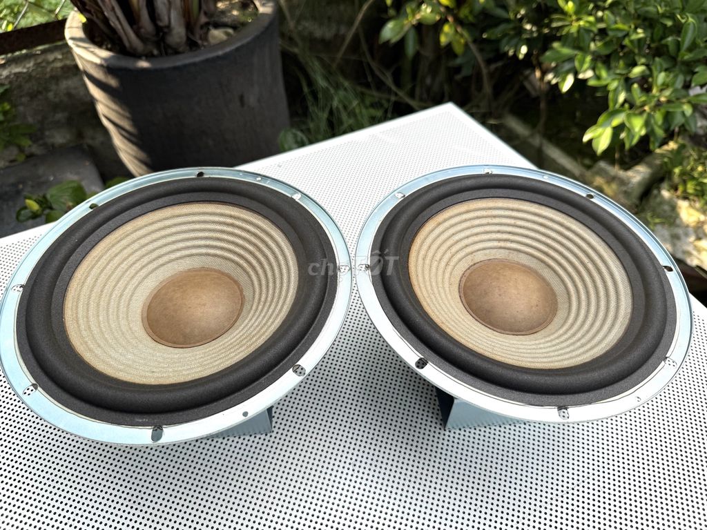 Bán cặp bass 2 tấc SONY (full 21cm). Mua bán Tivi, Âm thanh tại Huyện Bình Chánh Tp Hồ Chí Minh được đăng bởi SAS TRI hình 1
