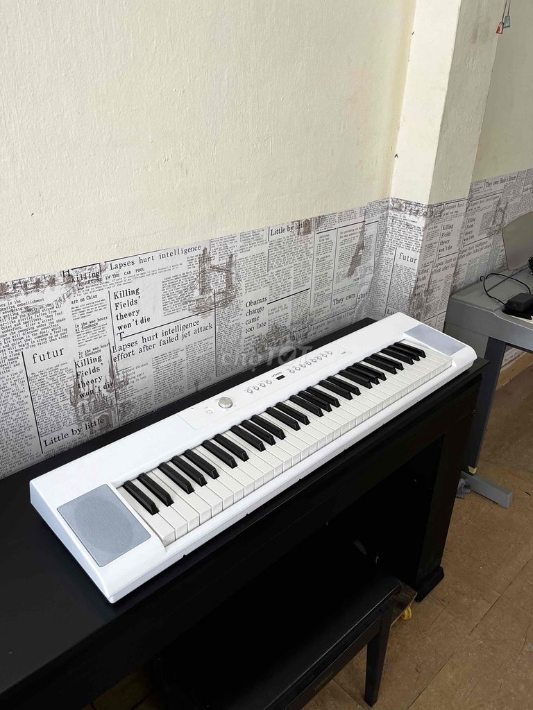 Piano Artesia của Mỹ