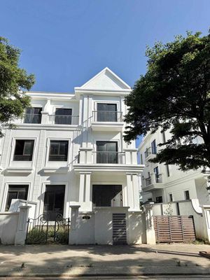 💥Biệt thự song lập đường Tường Vi - Khu đô thị Ecocity giá tốt