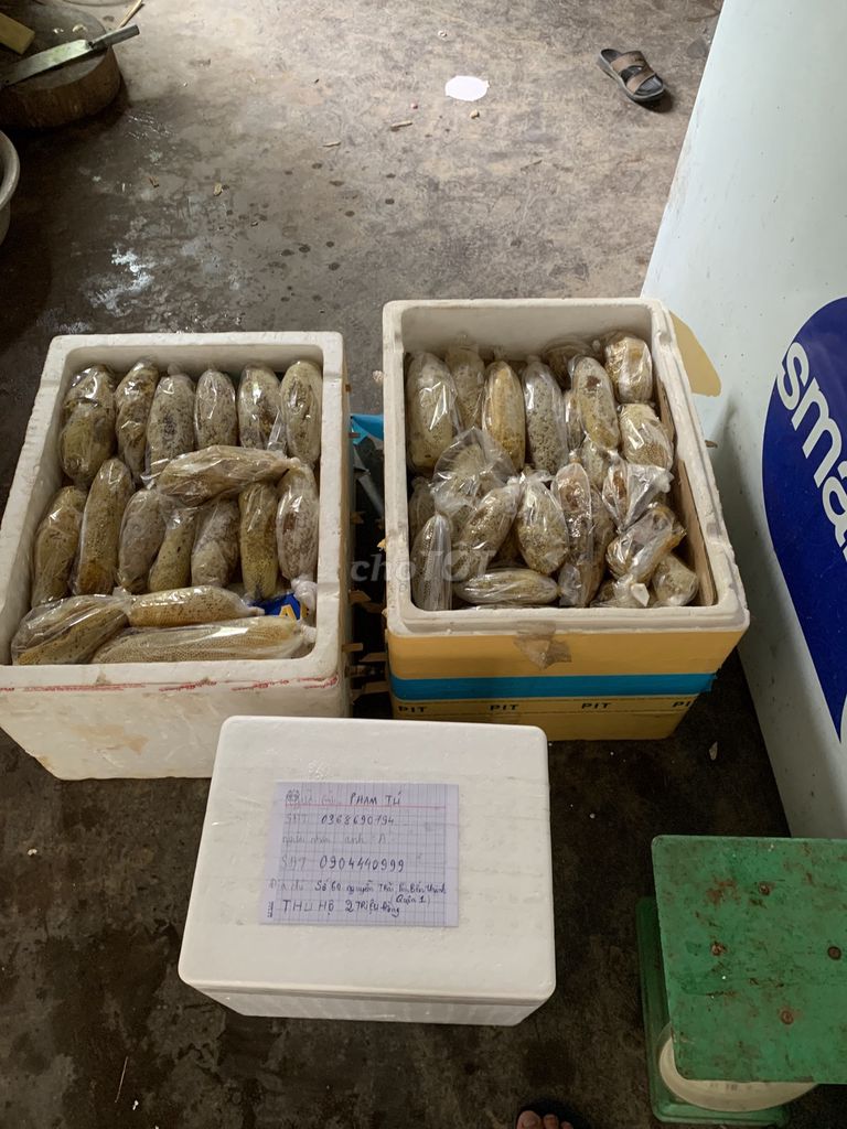 Mật ong ruồi nguyên tổ Đắk Lắk. Mua bán Đồ ăn, thực phẩm và các loại khác tại Quận 10 Tp Hồ Chí Minh được đăng bởi Phạm Tú hình 1