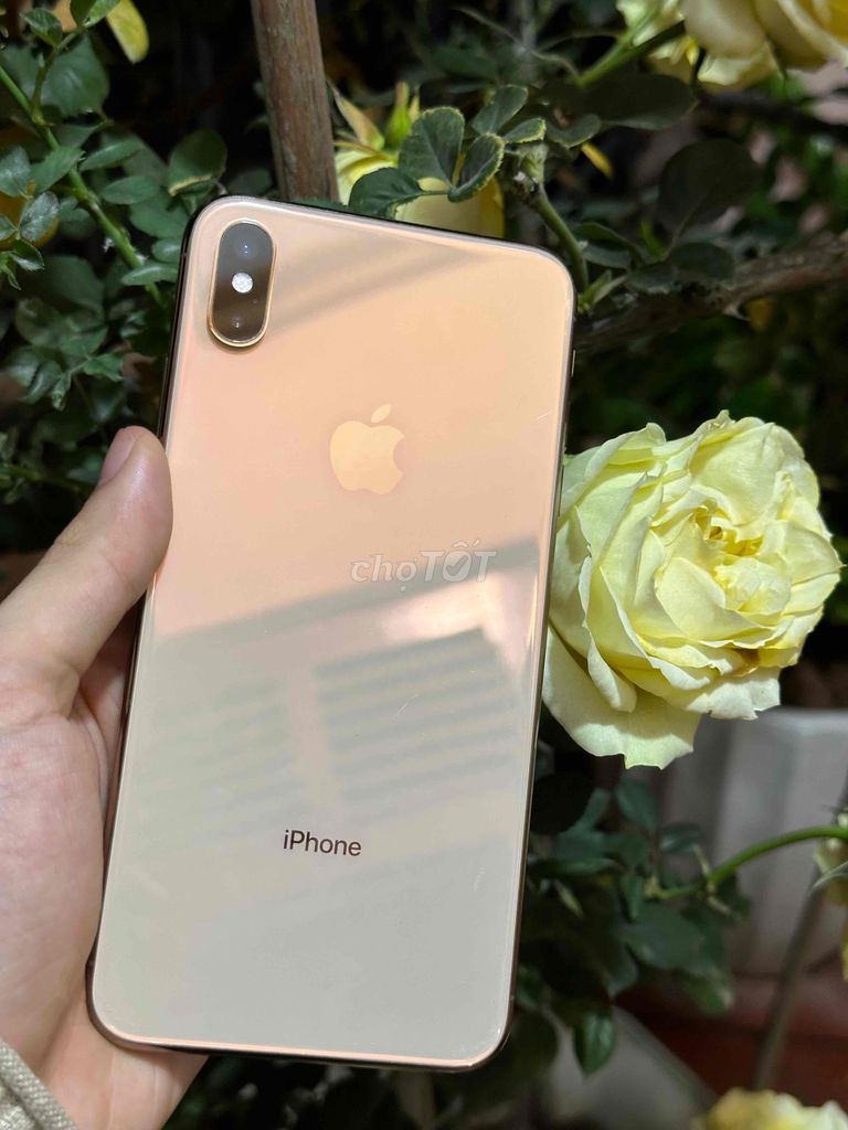 iPhone Xs Max Gold 256GB 2 sim 2 sóng pin new zin