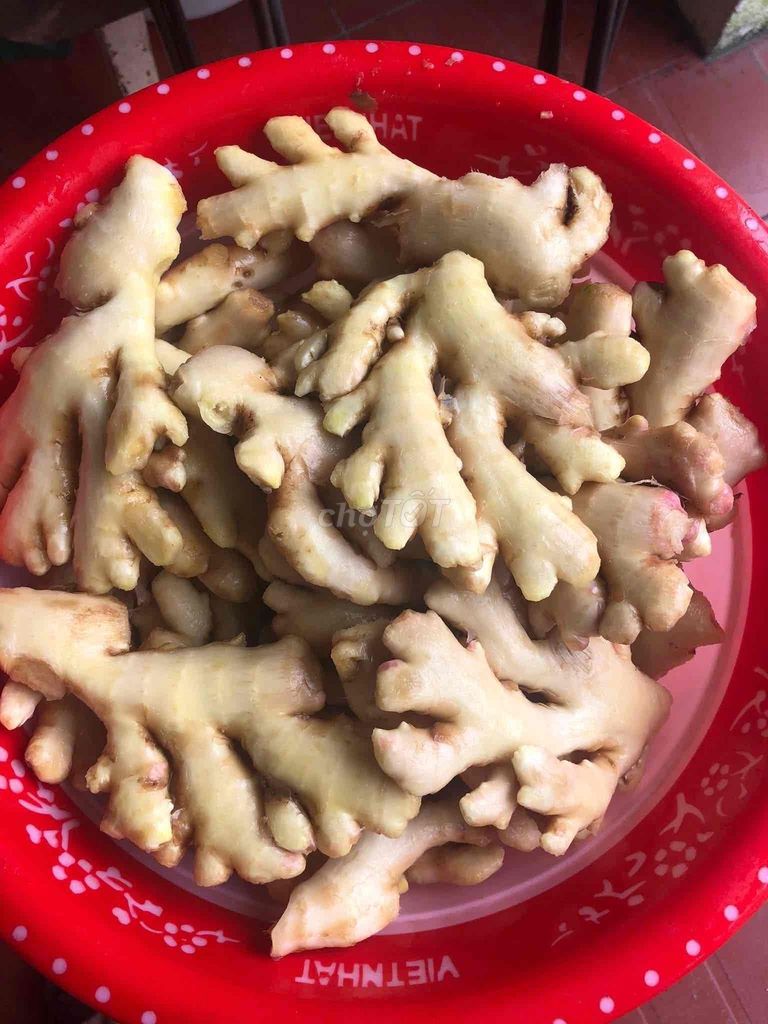 Mứt gừng Mỹ Lợi Huế. Mua bán Đồ ăn, thực phẩm và các loại khác tại Thành phố Huế Thừa Thiên Huế được đăng bởi lương văn hoàng hình 2