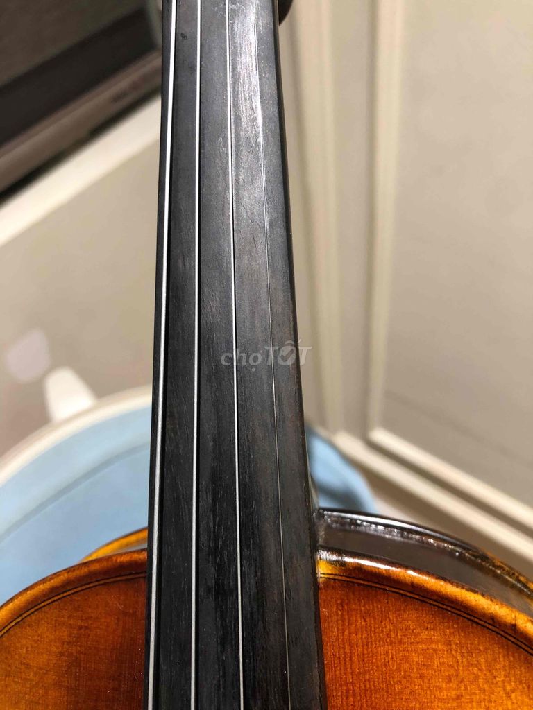 Pass Violin TV02 mua bên Thích Violin