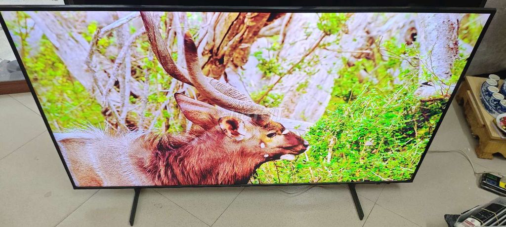 Tivi Samsung QA50Q60AAK 50 inch - T6/2021. Mua bán Tivi, Âm thanh tại Quận Hai Bà Trưng Hà Nội được đăng bởi Mr Hung hình 1
