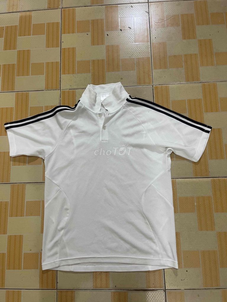 Áo polo Adidas Trắng L. Mua bán Quần áo tại Quận 12 Tp Hồ Chí Minh được đăng bởi HT 86 hình 1